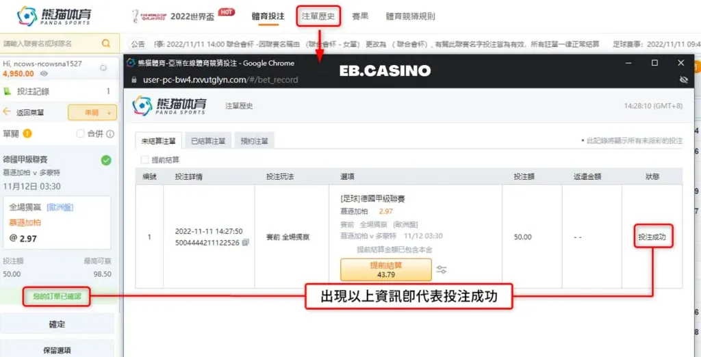 熊貓體育(原OB體育)-如何進行賽事下注?運彩懶人包|TU娛樂城 4 熊貓體育(原OB體育)-如何進行賽事下注?運彩懶人包|TU娛樂城